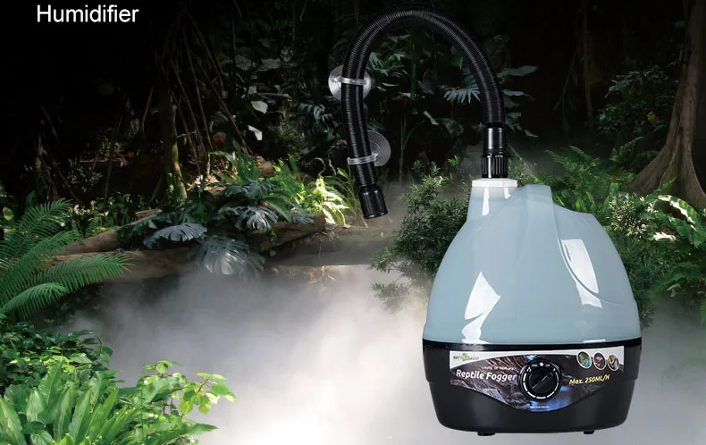 TB2u_JJjbSYBuNjSspiXXXNzpXa_!!2743297767