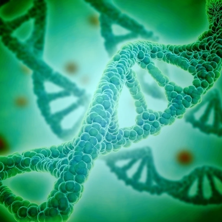Microscopic view of DNA Poster Print (16 x 12)