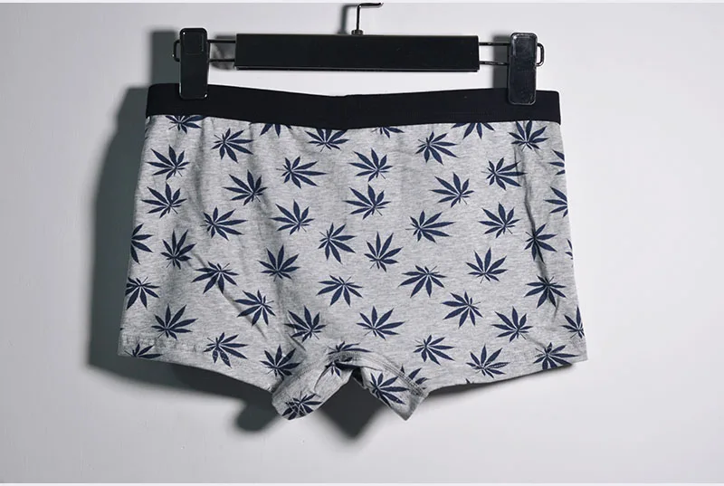 Breathable Men Boxers 365 Cotton Boxer Shorts Brand Underwear Man Cuecas Underpants Boxer Maple Leaves Panties Men Trunks BTS027 (6)