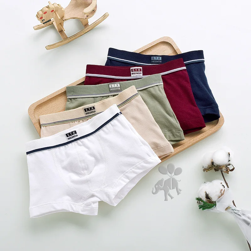 

Boys Underwear Children Panties Boys Cotton Boxer Shorts Children's Panties Kids Underwear For 2-16 years 5 pcs