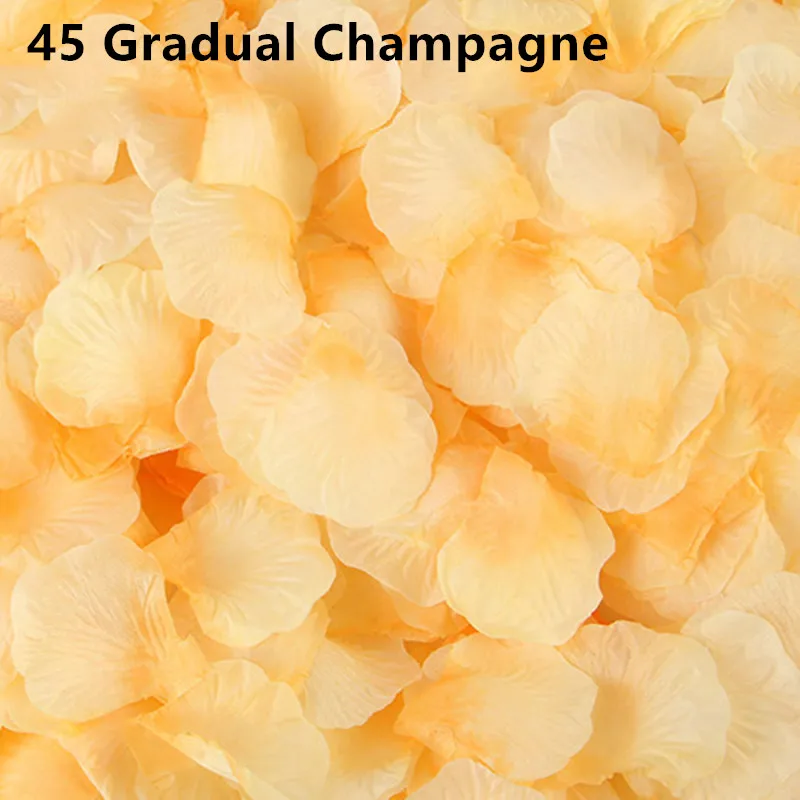 45-Gradual Champagne