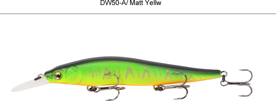 DW50---Y_40