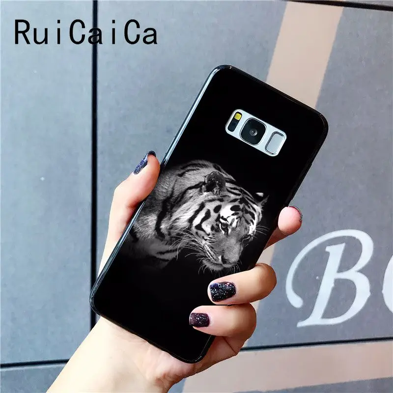 tiger fashion