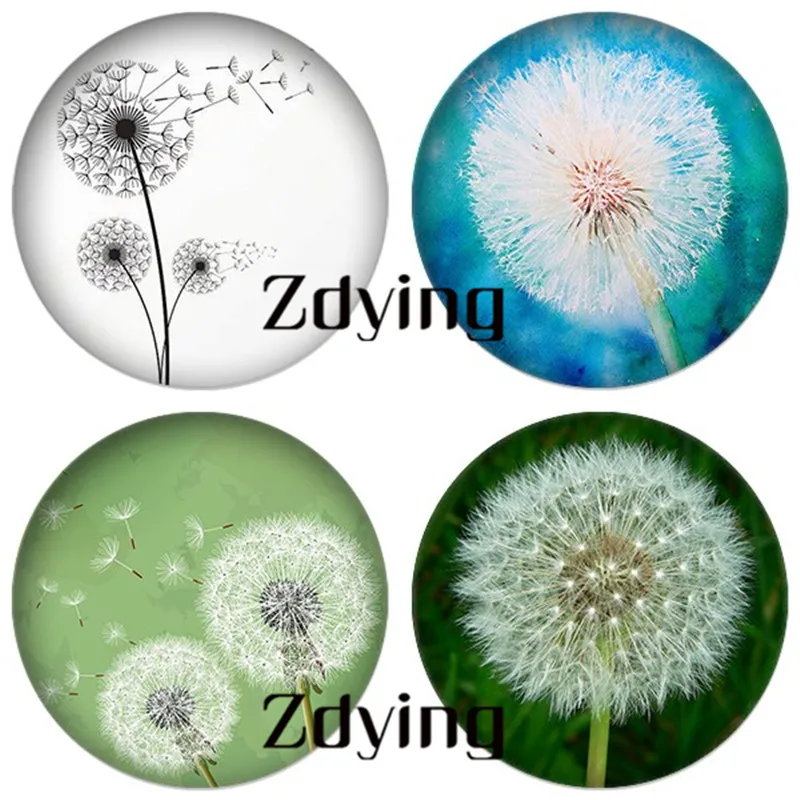 

ZDYING Round Glass Cabochon Dandelion Pattern Beads Demo Flat Back Making Jewelry Findings For Necklace Keychain Earrings SN001
