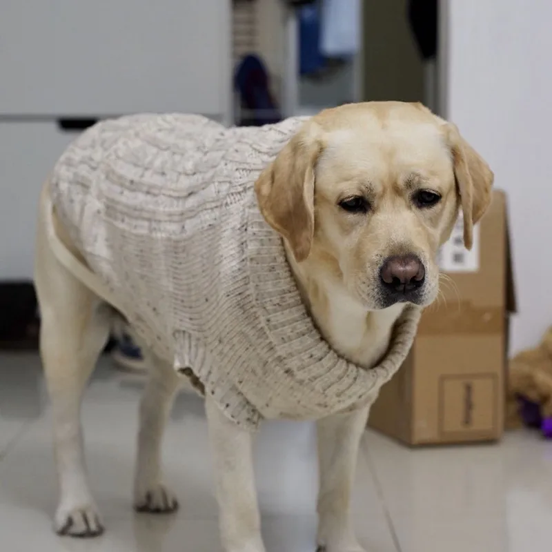 [MPK Dog Sweater] шерстяной свитер для маленьких и средних собак, шерстяной свитер для собак, свитер для Лабрадора, одежда для собак, 4 размера s