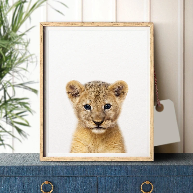 Lion Cub Animals Lions & Tigers Canvas Art Print for Wall Decor 