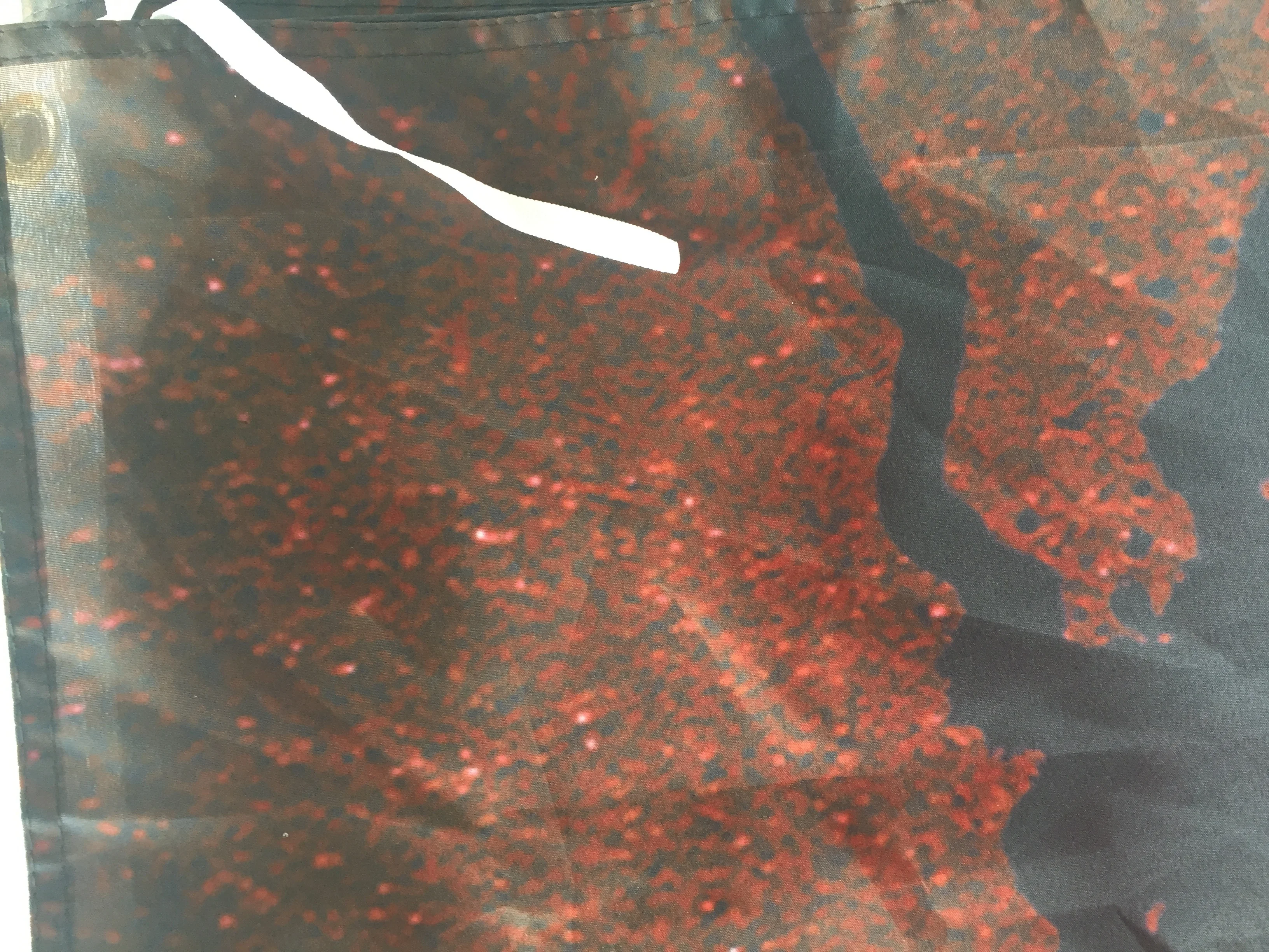 Drapeau reggae avec lion roi – Image 3