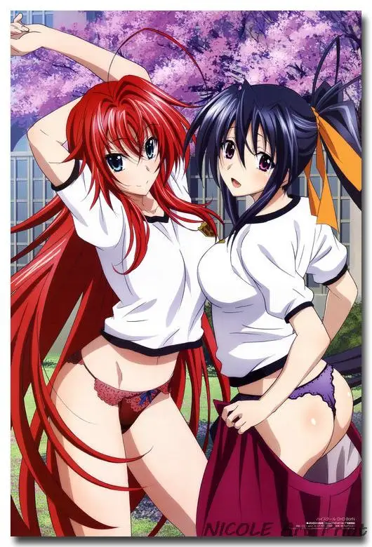 Постер из шелковой ткани DxD для старшеклассниц с принтом Rias Gremory сексуальное