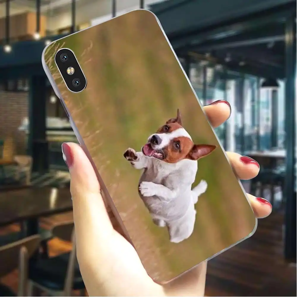 Cute Jack Russell Terrier Running Dog iPhone 11 case Cute Jack Russell Terrier Running Dog iPhone 11 case