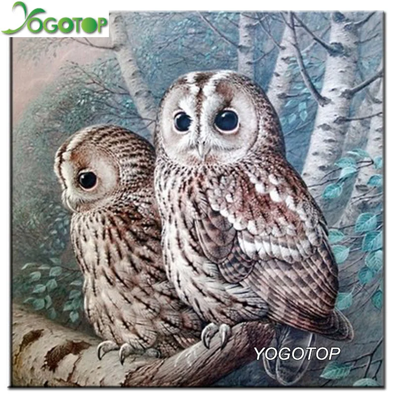 

YOGOTOP Two owls Diy Diamond Painting Cross Stitch Full Diamond Embroidery 5D Needlework Square Diamond Mosaic Kits ZB043