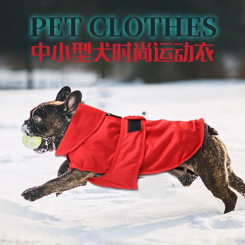 O1CN011QkuXgHgl4y6W8a_!!0-item_pic