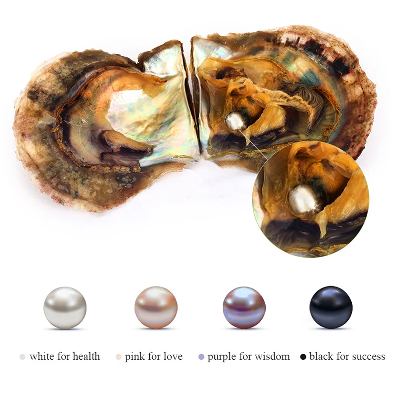 BAMOER Vacuum-Packed 6-7mm Round Akoya Pearls in Oyster White Pink Lavender Black Saltwater Pearl SCP000
