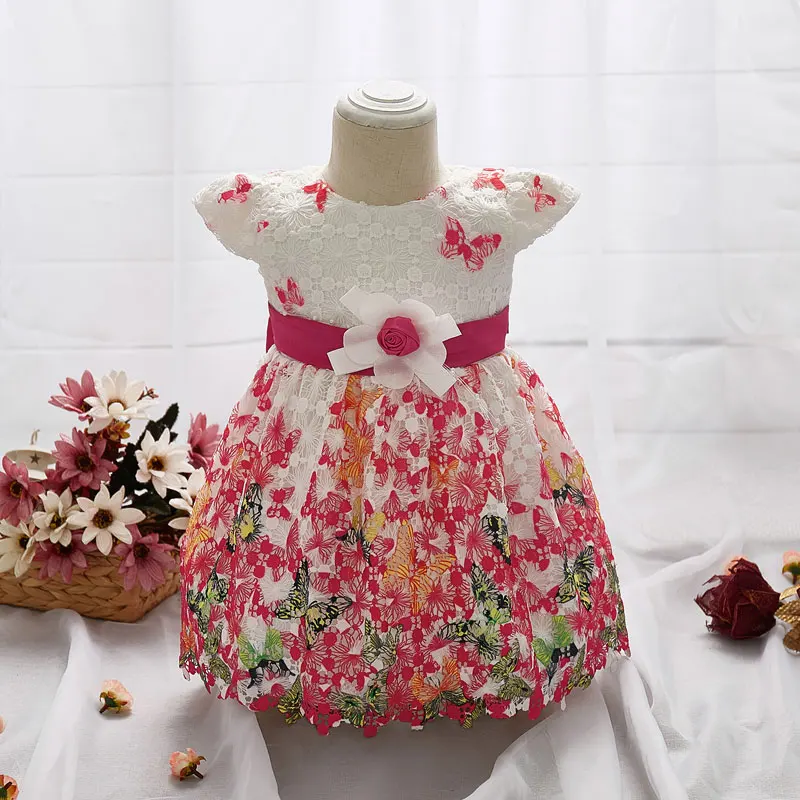 Little Princess Dresses Girl Baby Dress Butterfly Lace Flower Dress...
