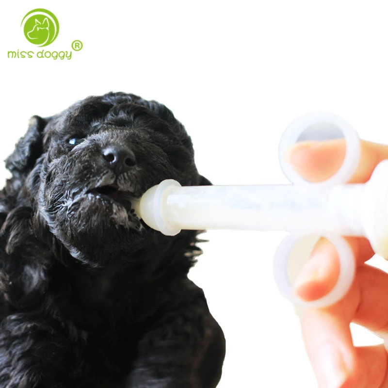Kit D Alimentation Portable Pour Chat Chiot Chiot Lait Pour Nouveau Ne Chaton Petits Chiens Seringue Mamelon Et Bol Pour Animaux De Compagnie Aliexpress