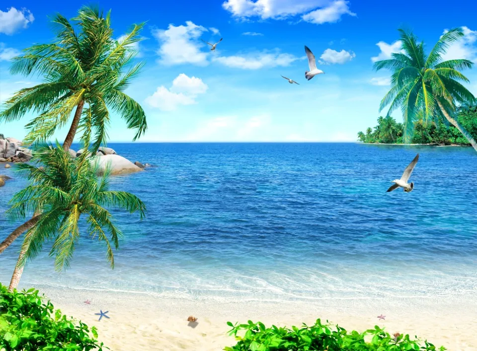 Get Cortines transparents tema de la platja Free HD Cortines Transparents Tema De La Platja