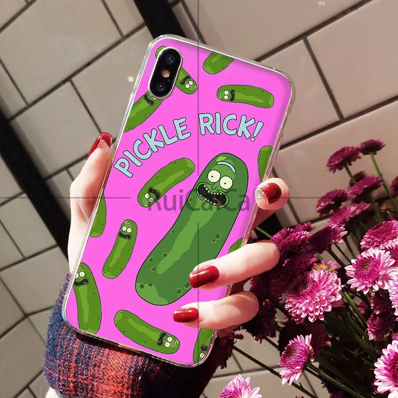 Rick and Morty pickle rick