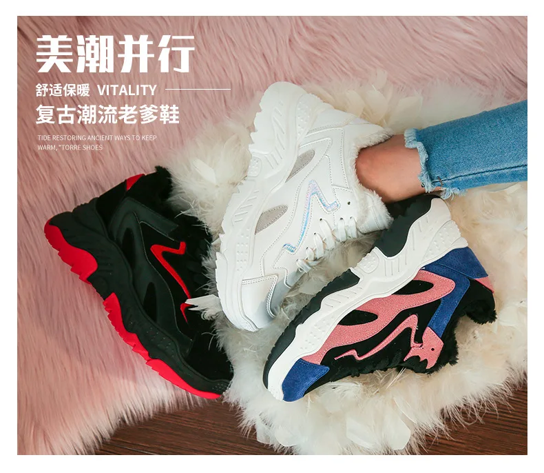 ZL- (2).jpg