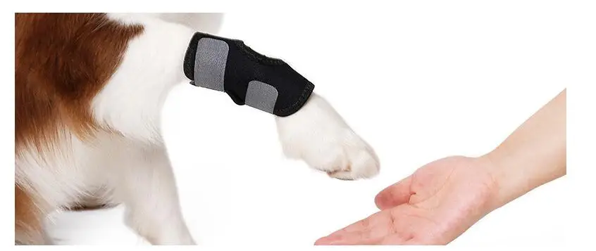 Гетры для собак переднее заднее короткое обертывание для ног рукав защищает ранки ПЭТ Скоба заживления и предотвращает травм и проливы помогает
