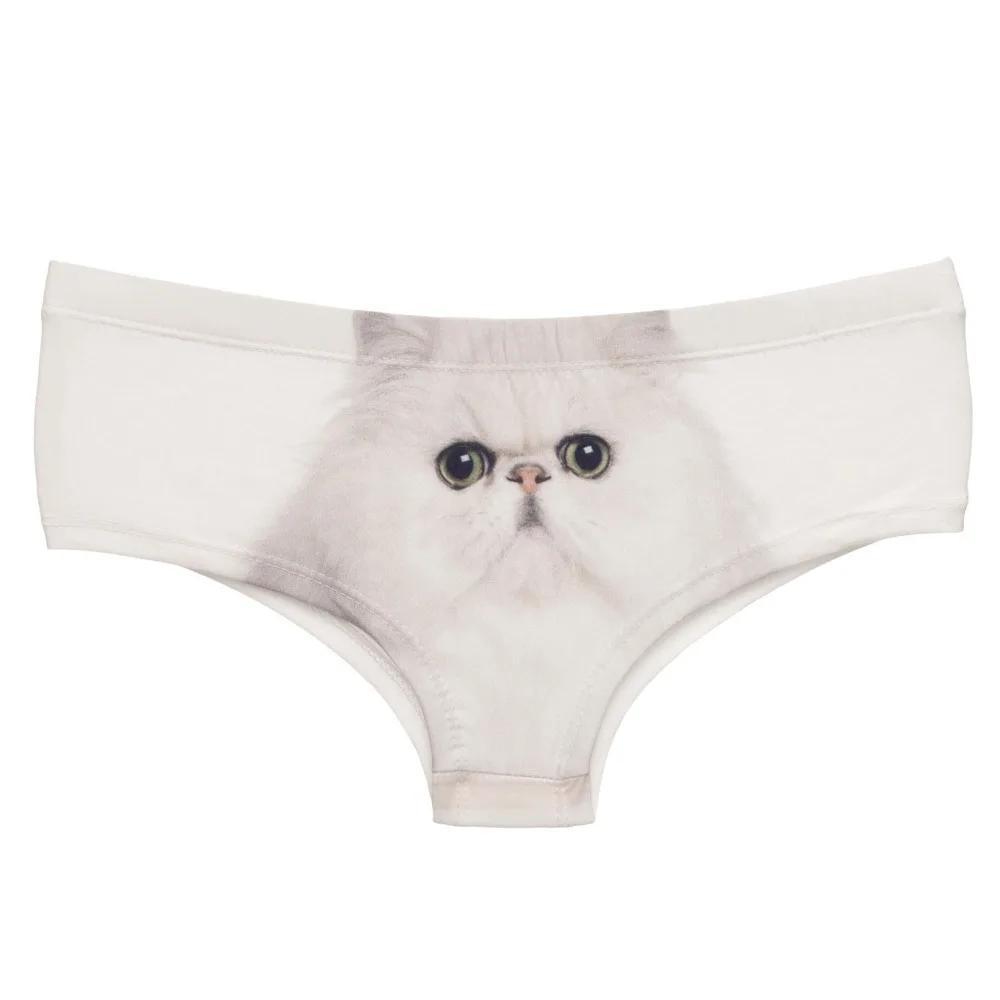 37059 PERSIAN CAT (3)