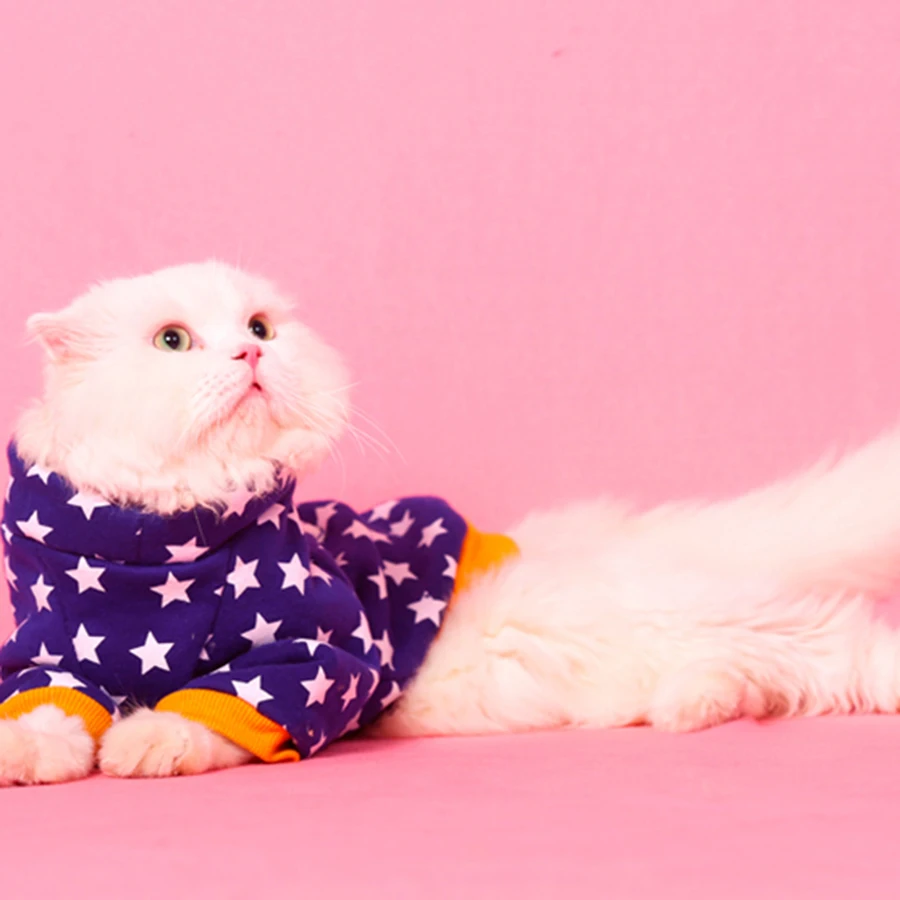 Buy Clothes Clothing For Pet Dogs Cat Animals Cute