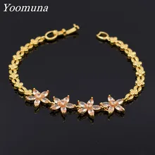 Новинка с модным фианитом ювелирные изделия серебряный цвет цветок Шарм Циркон Кристалл женский браслет 300s