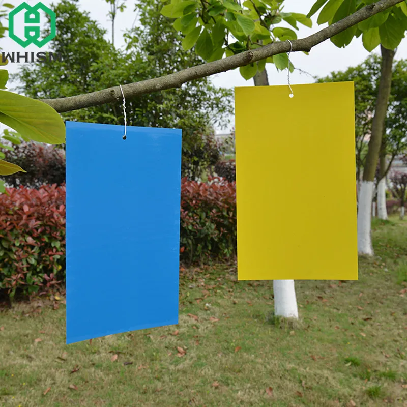 

WHISM Strong Flies Traps Bugs Sticky Board Catching Aphid Insects Killer Pest Control Whitefly Thrip Leafminer Glue Sticker
