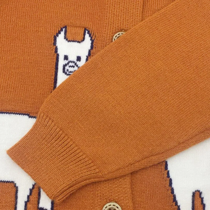 Casual Cotton Baby Sweater Cardigan Cartoon Alpaca Sweater For Girls Long Sleeve O-Neck Boys Sweater Knit Cardigan Kids Clothes (7)