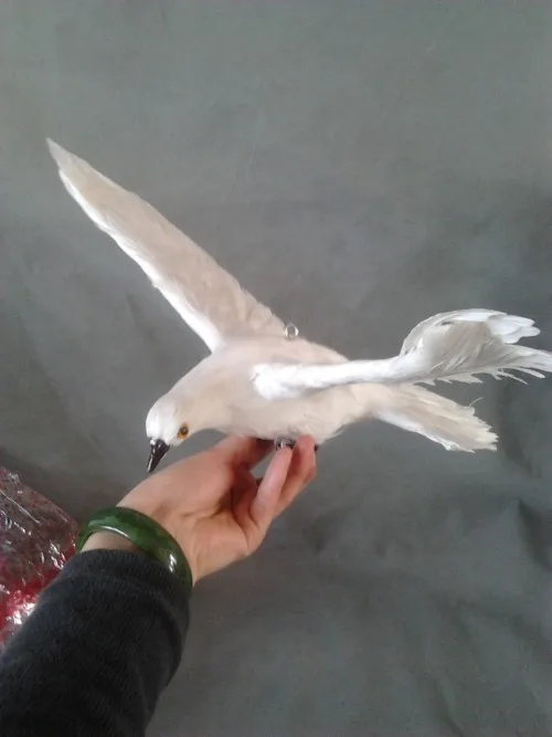 new simulation white dove hard model polyethylene&ampfurs wings toy gift about 36x28cm s2903 | Игрушки и хобби