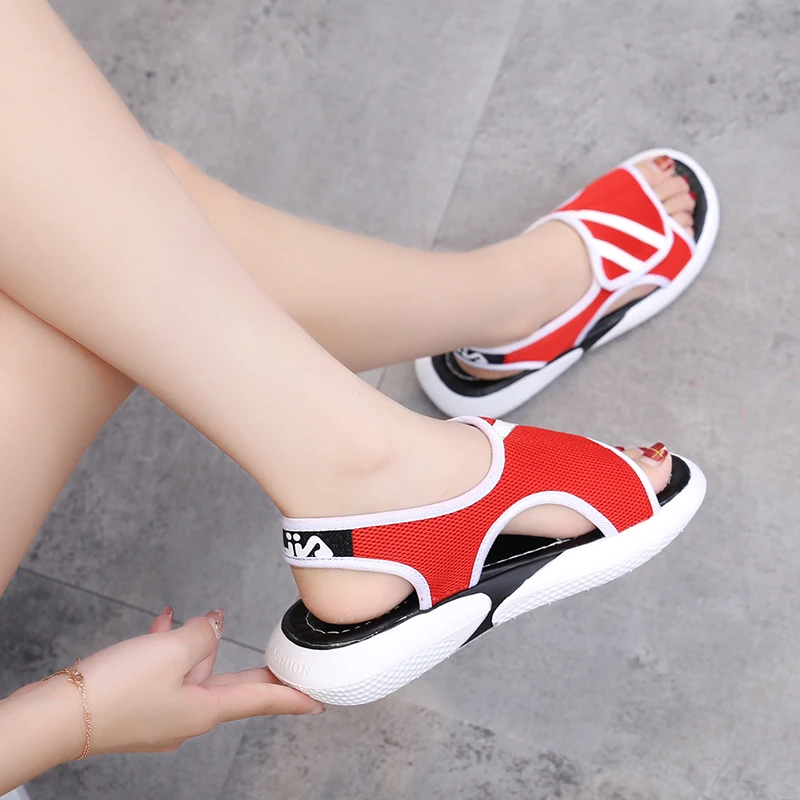 hong (1)