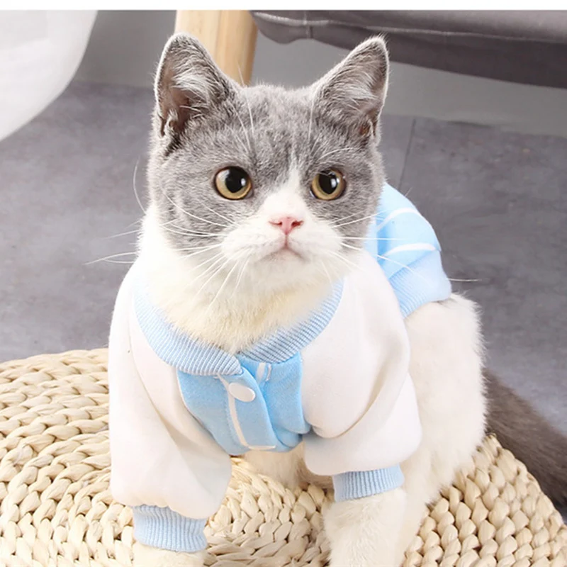Одежда для домашних питомцев; кошки