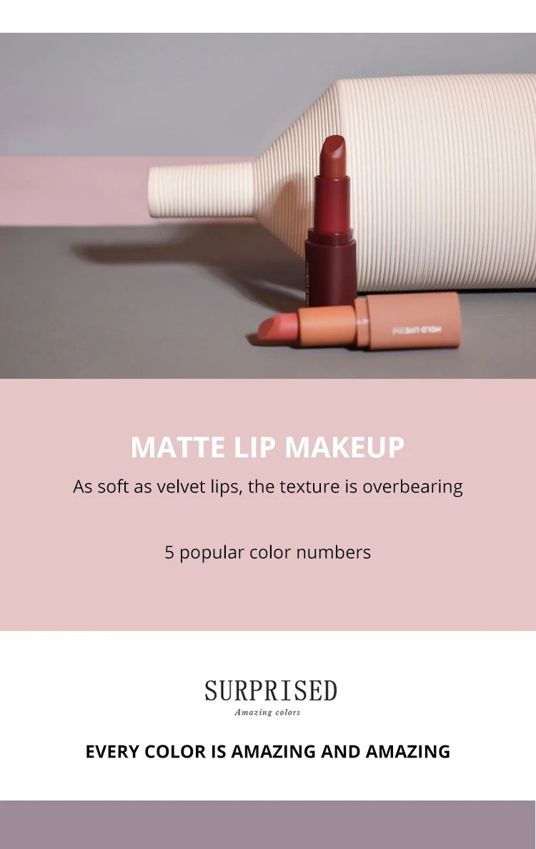 Brand HOLDLIVE 5Pcs Velvet Matte Lipstick Set (4)