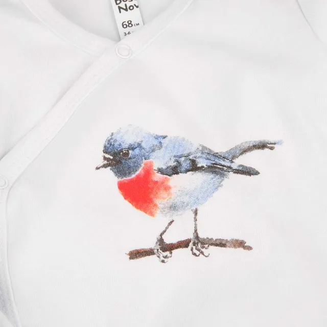 Комплект боди и ползунки BOSSA NOVA для мальчиков 'Акварель'