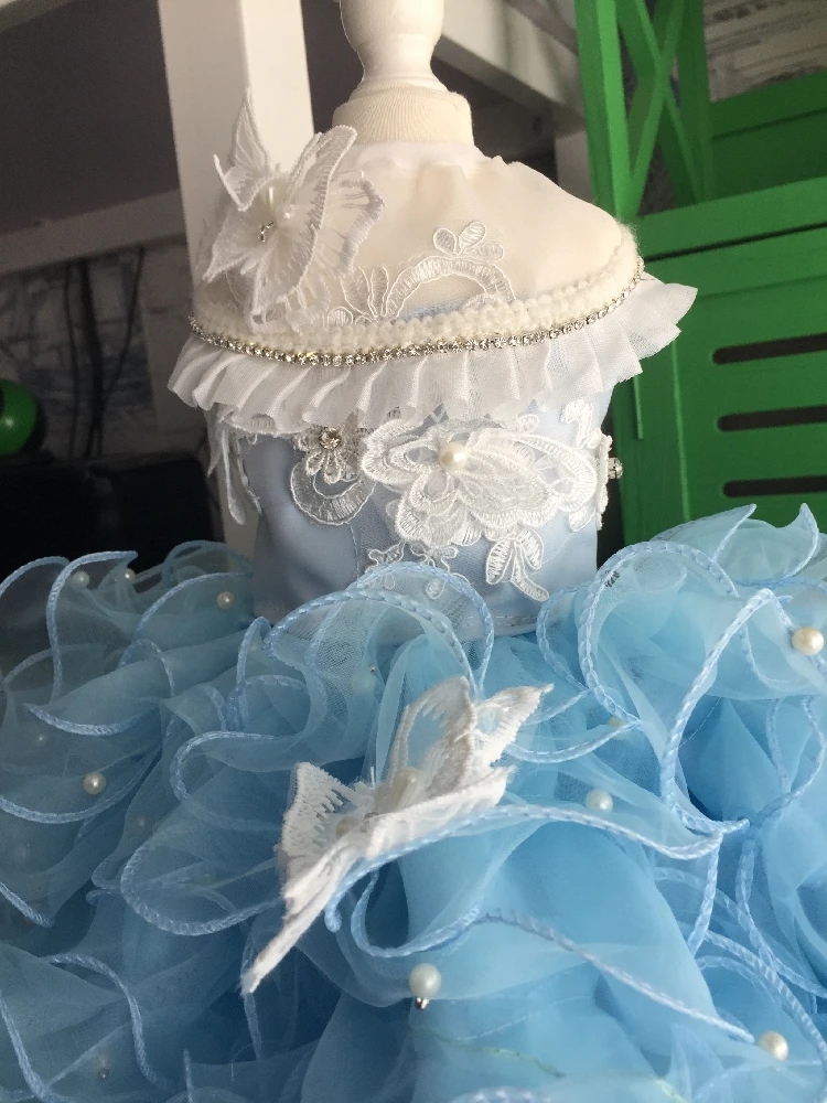 Cão de estimação vestido festa de casamento