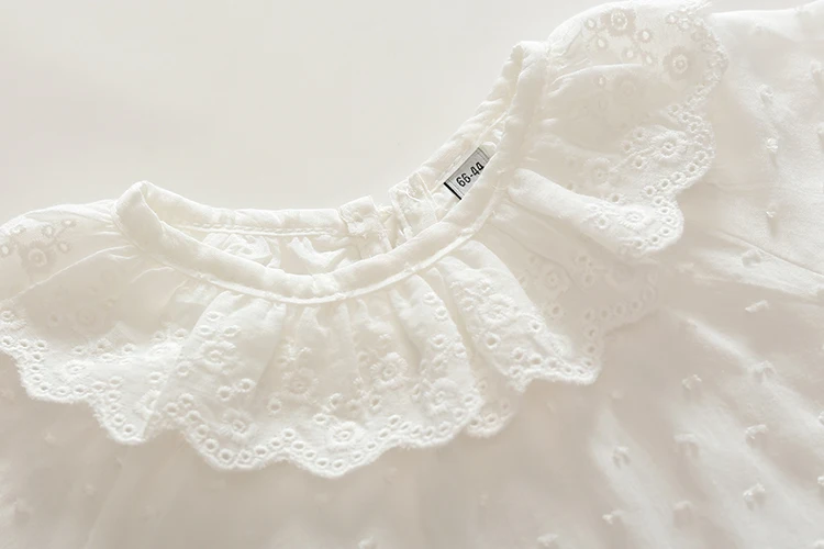 IMG_0245