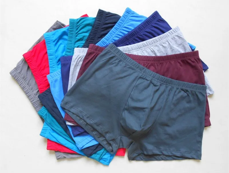 boxers 13