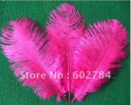 

Wholesale ostrich feather 100pcs/lot 6-8 inches 15-20cm fushia ostrich feathers Free Shipping
