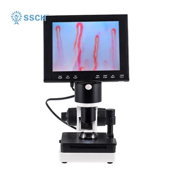 

Capillary Microcirculation Microscope Magnification Over 380 Times