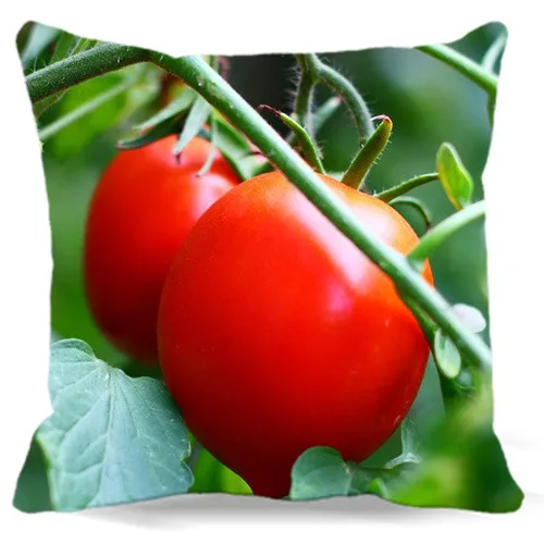 

For home hotel car sofa decoration Two tomato Vegetables Home Textile bedding square cotton polyester pillow cover 40 45 48 cm