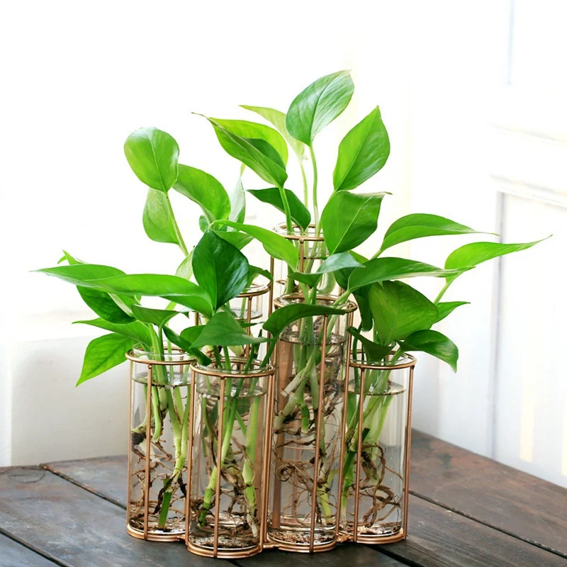 Современная стеклянная ваза в форме трубки, бутылка для цветочного растения, сделай сам, украшения для террариума, гидропонный зеленый Растительный контейнер, стеклянная ваза