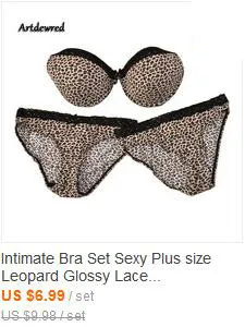 Artdewred Brand Sexy Underwear Women Bra Set Lingerie Set Luxurious Vintage Lace Embroidery Push Up Bra And Panty Set_voghion.com