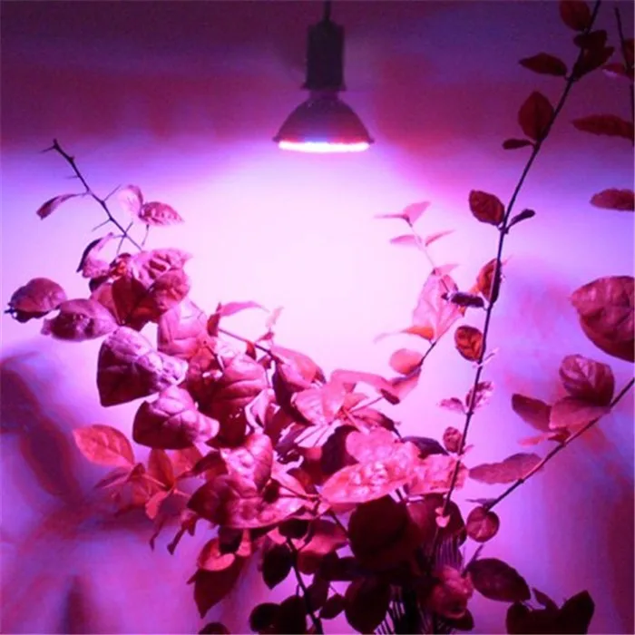 E27 4.5 Вт красные, синие светодиодные лампы для роста растений 80 светодиоды AC220V растет свет светодиодные гидропоники роста растений Освещение