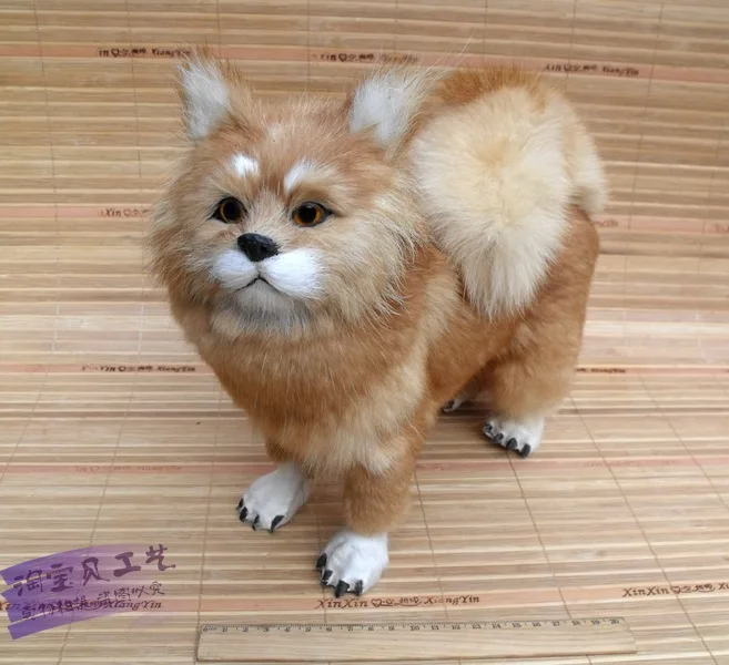 doll pomeranian dogs pomeranian promotion shop for promotional dogs pomeranian on aliexpress doll pomeranian dogs pomeranian promotion shop for promotional dogs pomeranian on aliexpress