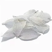 1 (2)