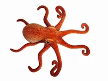 GGS 80cm Soft Animal Simulation Creative 3D Giant Stuffed large Octopus Plush Sea Animal Plush Toys