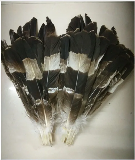 New 10 pcs 12-18inch //30-45 cm Set Rare and precious white feathers Pattern Diy