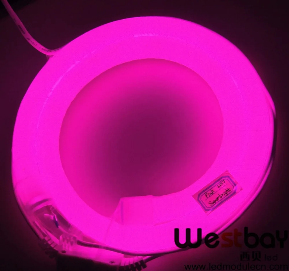 Розовый мини светодио дный neon для DIY освещение решение, светящиеся вывески, популярные в Швейцарии, Россия, Румыния, франции, Италии, 10 м/лот, 240 Vneon