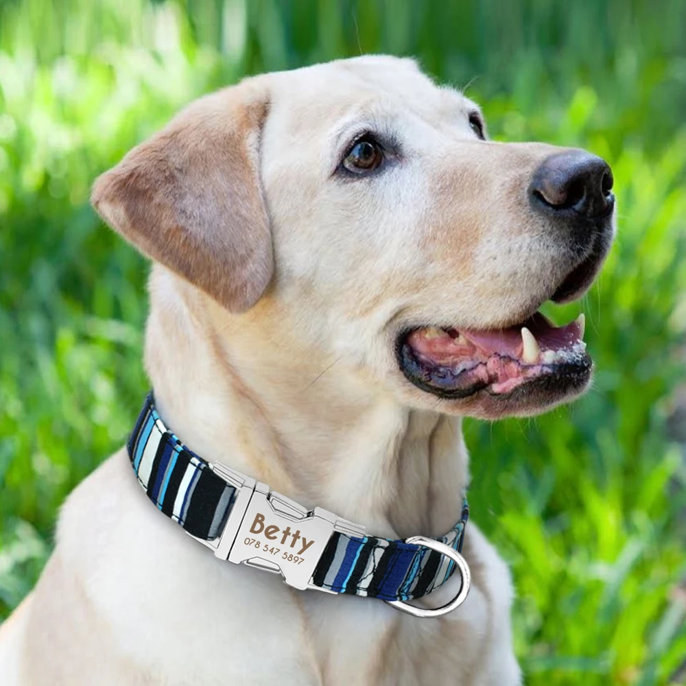 Personalized Engrave Name Dog Collar