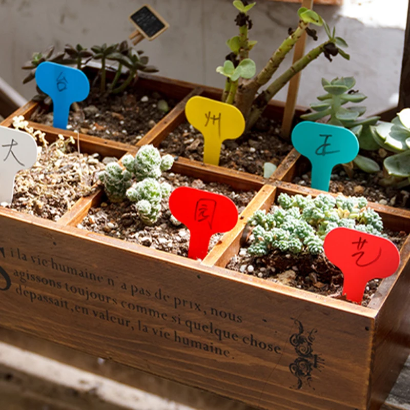 

100pcs/set T-type Plastic Nursery Reusable Garden Plant Label Flower Thick Tag Mark Fleshy plant flowerpot decoration
