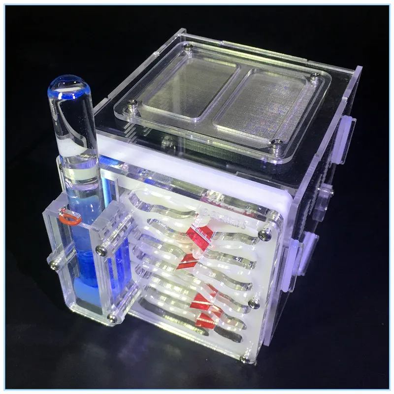 Мини муравьиный город A1 клетка для насекомых ферма гнездо с кормом корзина акриловый дисплей коробка муравьиная мастерская Студенческая научная игрушка СВЕРЧКИ клетки
