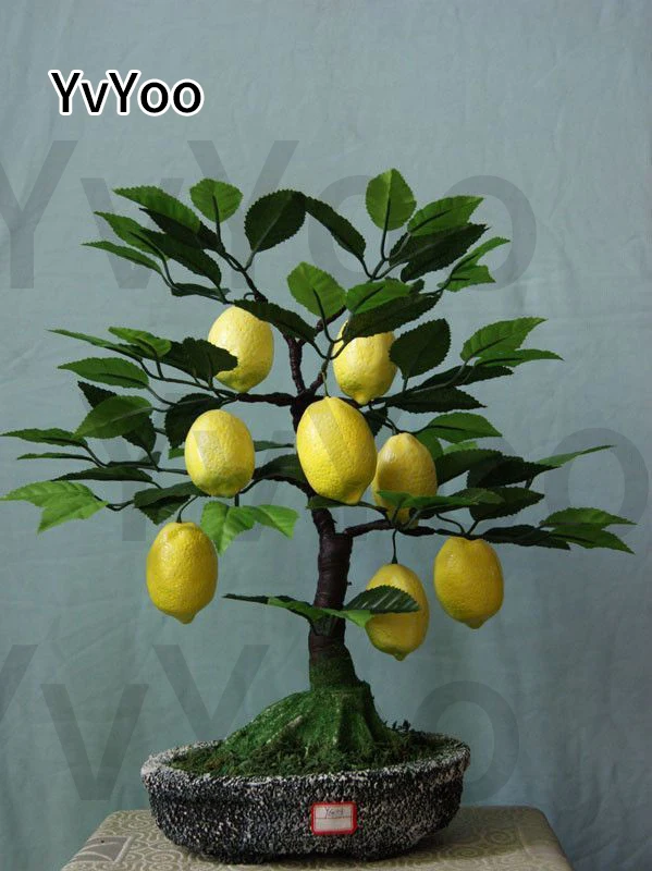 YVYOO Edible Fruit Meyer Lemon bonsai, Exotic Citrus Bonsai Lemon Tree Fresh plants fruit vegetable,20 pcs/bag B27 YVYOO Edible Fruit Meyer Lemon bonsai, Exotic Citrus Bonsai Lemon Tree Fresh plants fruit vegetable,20 pcs/bag B27